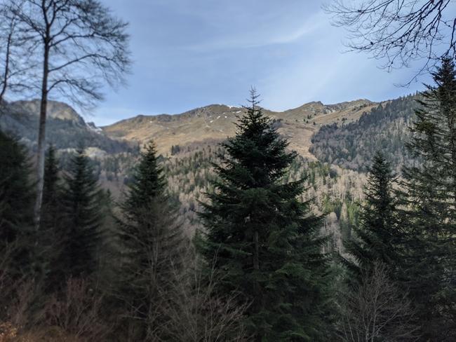 Retour au Col du Pas de l'âne