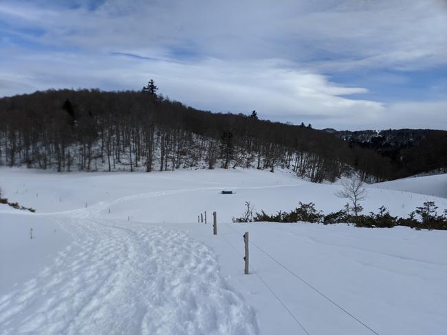 Retour lisière