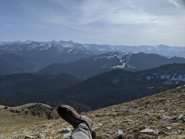 Face aux Pyrénées